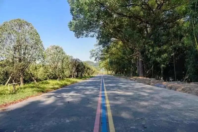 丽水“大花园”,体育是最艳丽的花朵|“浙”里的小康体育生活