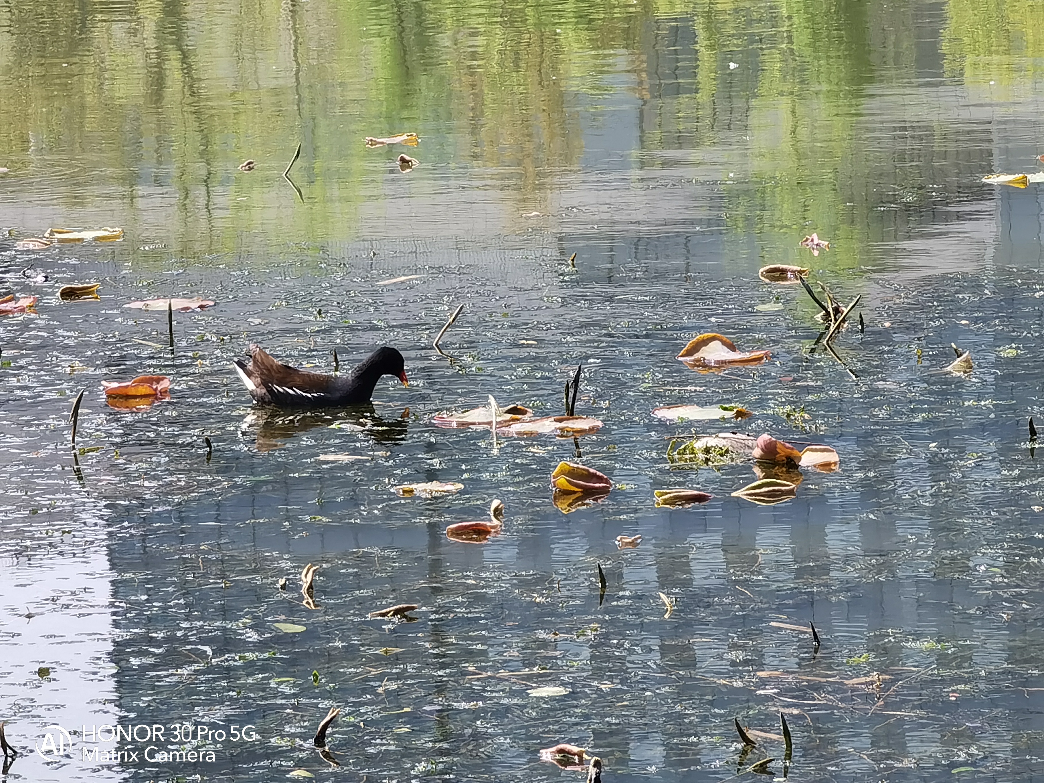 颜值能打100分吗,颜值能打三分吗