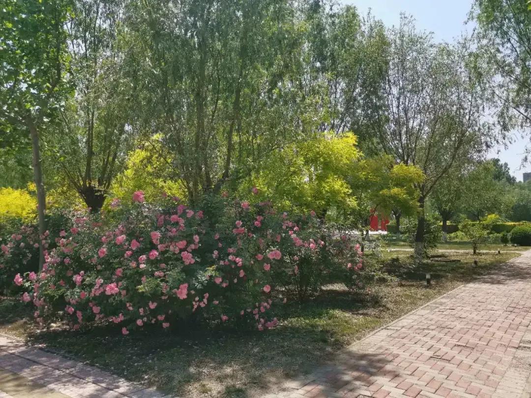 天津市独立院校（四）天津财经大学珠江学院