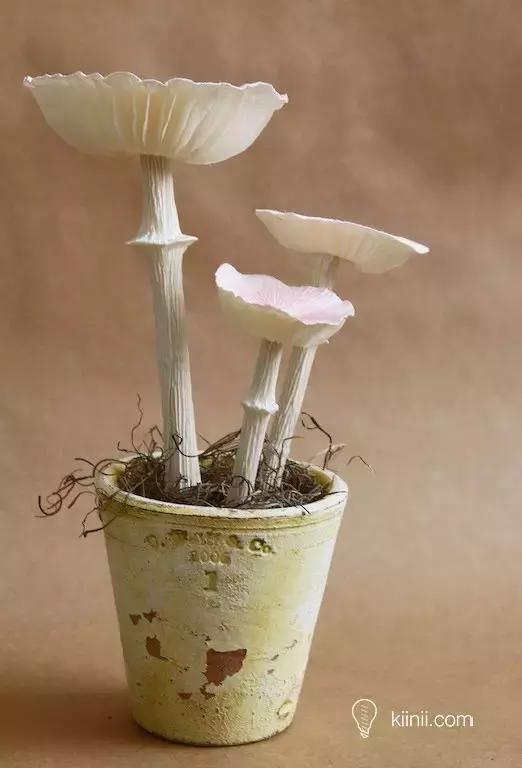 童话世界蘑菇屋农家乐 (儿童手工蘑菇屋创意介绍)