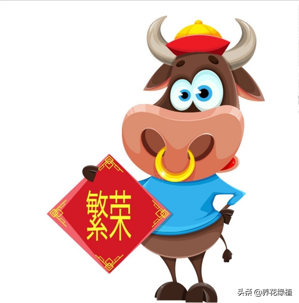 牛年是否从立春开始,牛年是从立春开始还是初一开始