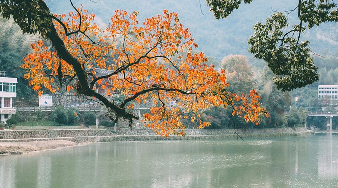 一起游玩泰顺,小众旅游泰顺