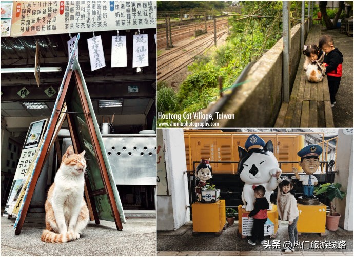 台湾猴硐猫村值得去吗,猴硐猫村旅游攻略