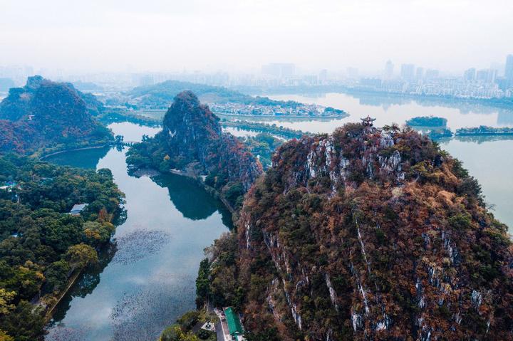 星湖冬日燃情，比落羽杉还要红的是什么？#我和湿地有个约会#