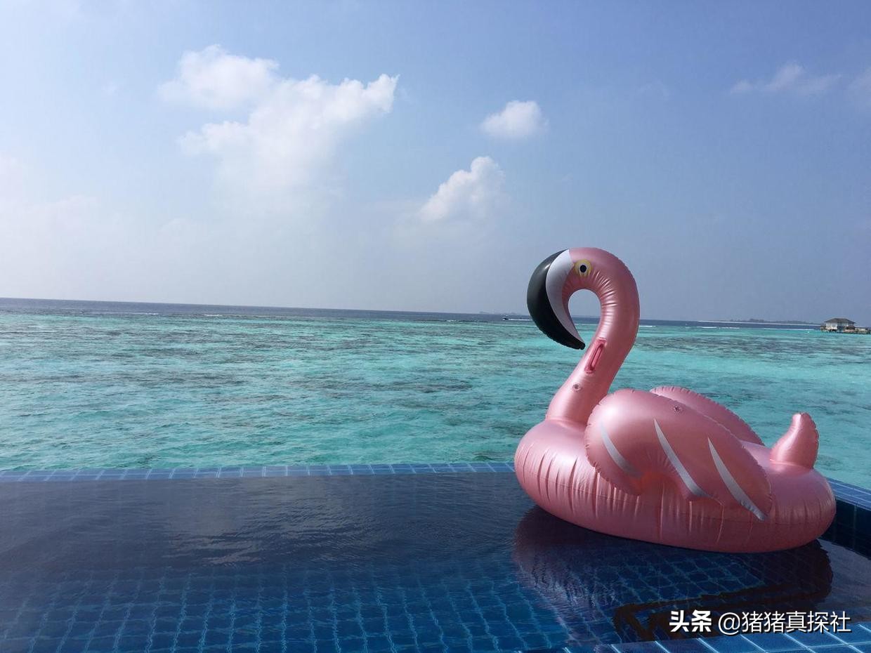 马尔代夫鲁滨逊努努岛,马尔代夫鲁滨逊努努岛浮潜