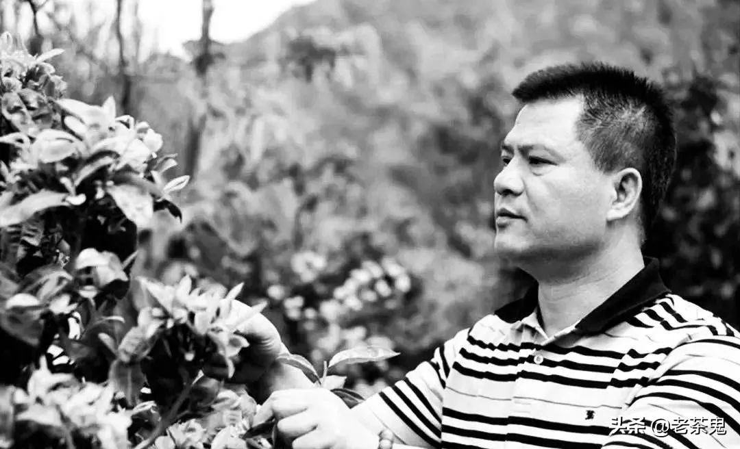 普洱茶界新闻事件,2021普洱茶十件大事