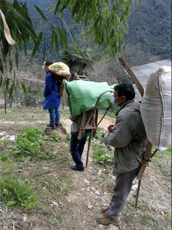 盘点疫情中那些振奋人心的古诗词，值得我们久久回味