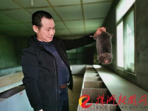 禁野令特种养殖,禁野后对特种养殖的补偿政策