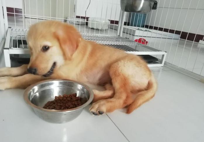 閲戞瘺骞肩姮鎸戦鏈変粈涔堣В鍐崇殑鏂规硶,閲戞瘺鎸戦鏈変粈涔堣В鍐崇殑鏂规硶