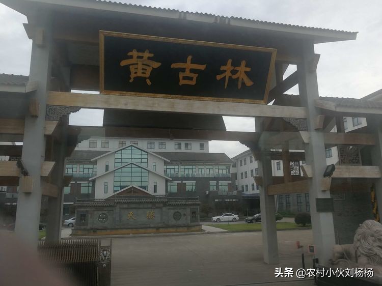 奉化溪口一日游攻略,奉化溪口一日游旅行社跟团多少钱