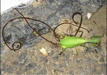 莫笑狂夫小说,莫笑狂夫完整版