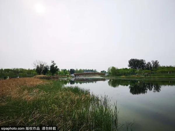 北京夏天傍晚值得去的地方,八月份北京适合旅游的地方推荐