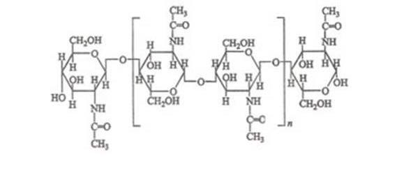 为什么不能把苍蝇彻底灭绝,苍蝇为何能抵挡住病菌的侵袭