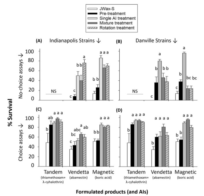 教你一招轻松解决蟑螂,家有蟑螂不要急教你一招