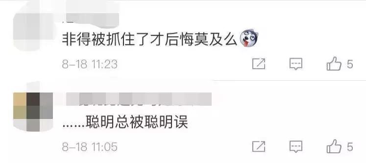 30岁工程师花式逃票480次“省了”2万元！被刑拘！