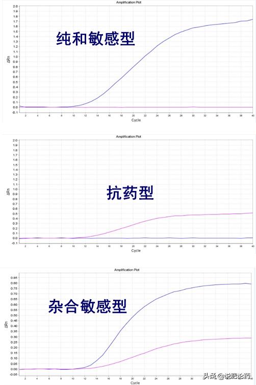 葡萄霜霉最好的克星,葡萄霜霉疫病用什么药
