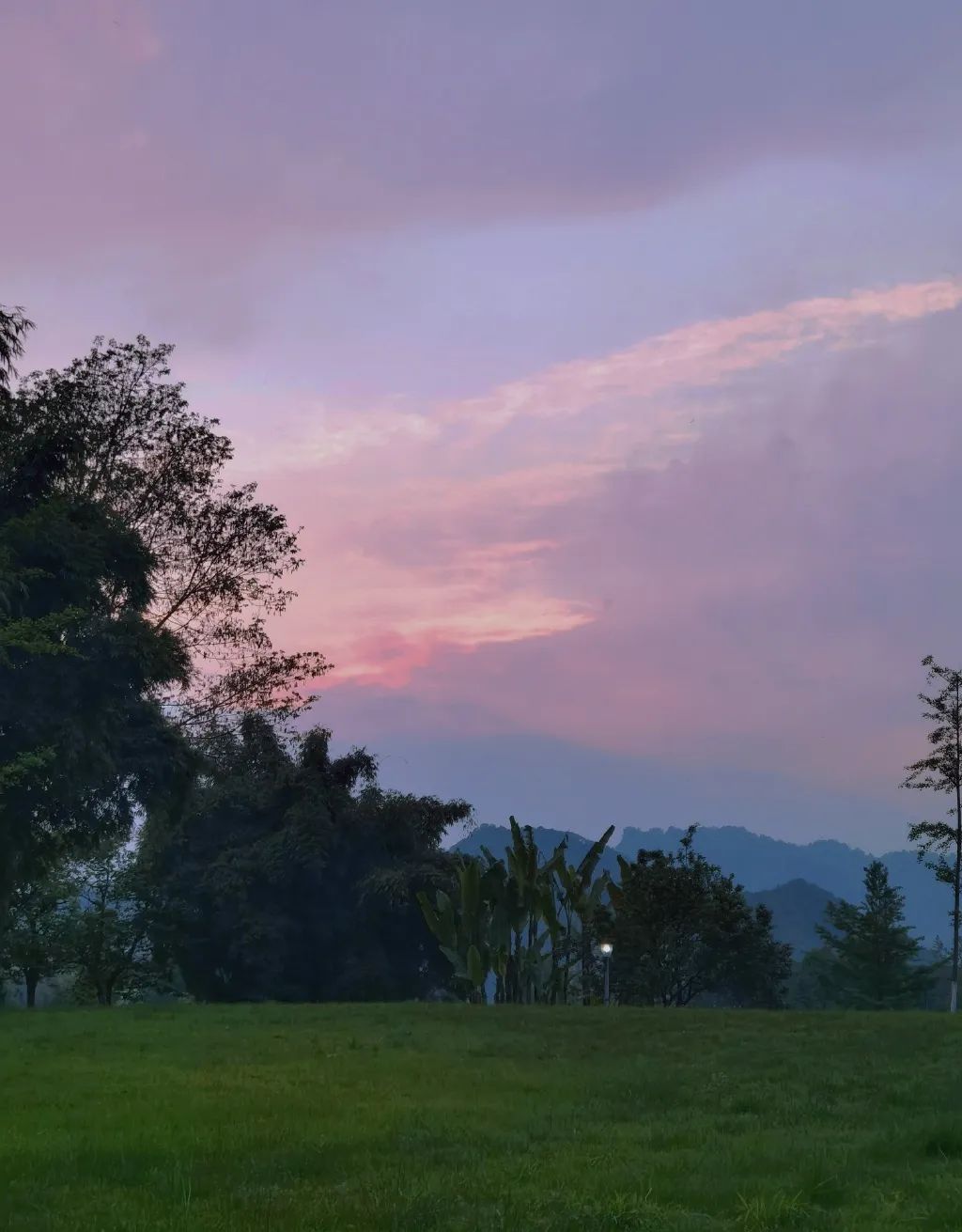 成都东软学院青城山下,东软青城山校区