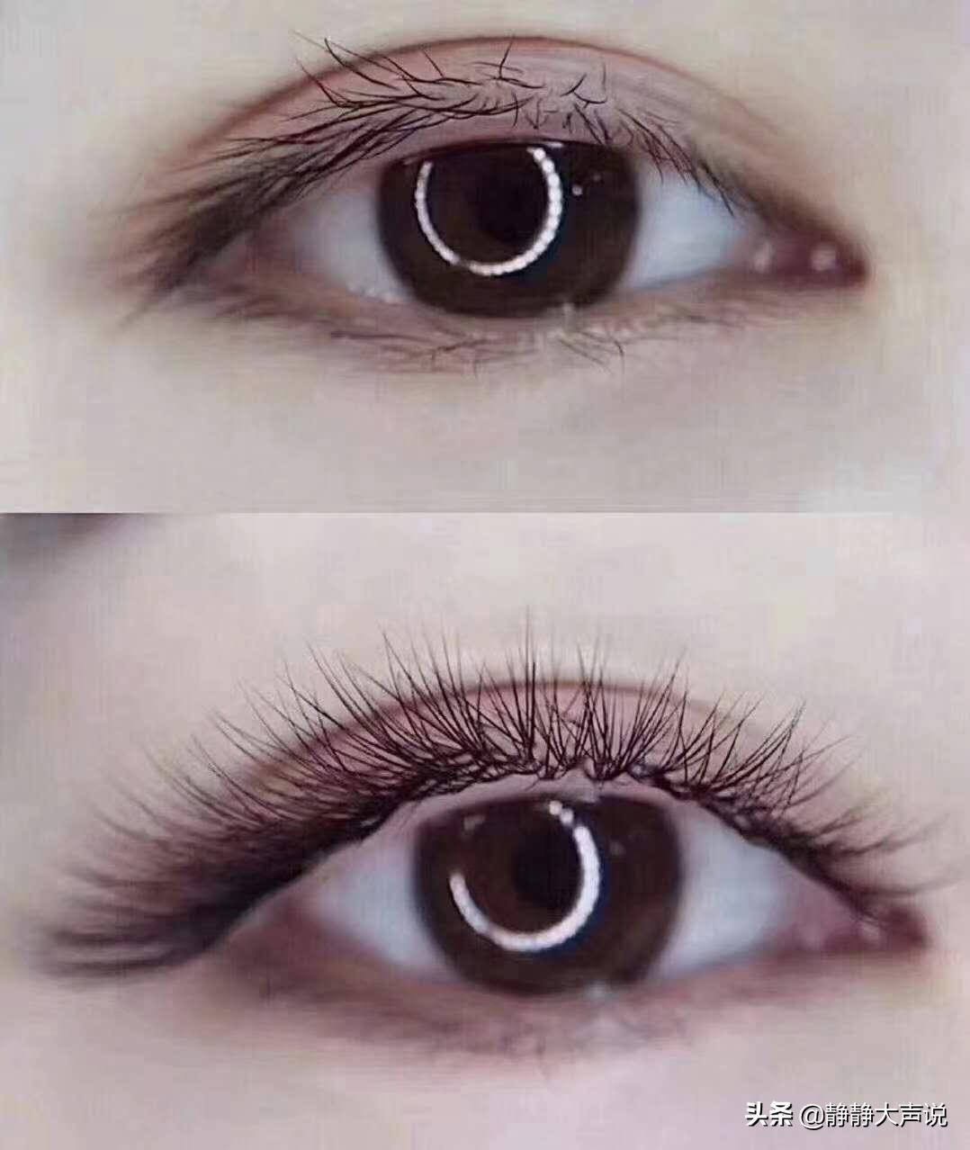 女士睫毛怎么护理,种了睫毛怎么保养