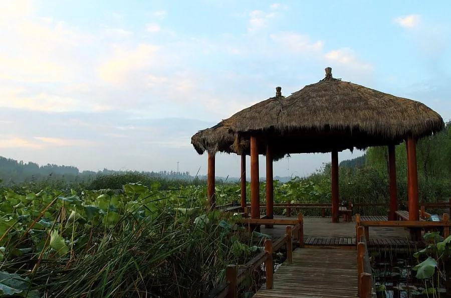 德州减河湿地风景区介绍视频,德州市减河湿地公园好玩吗