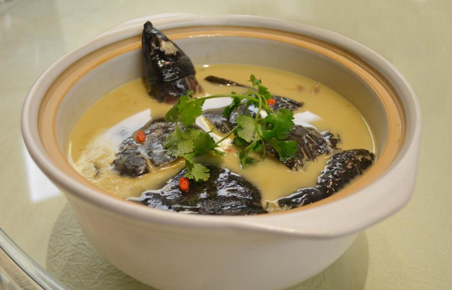 最赚钱的养殖甲鱼火爆,致富经养甲鱼年赚千万