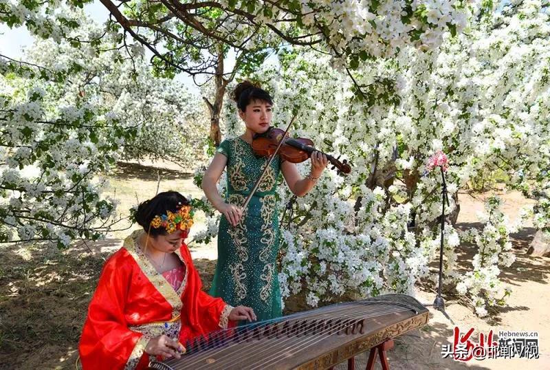 邯郸自驾游看花十大排行榜,石家庄48条春观花旅游线路