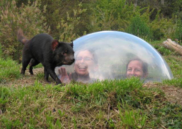 嘘！我要去澳洲了，不如一起吧