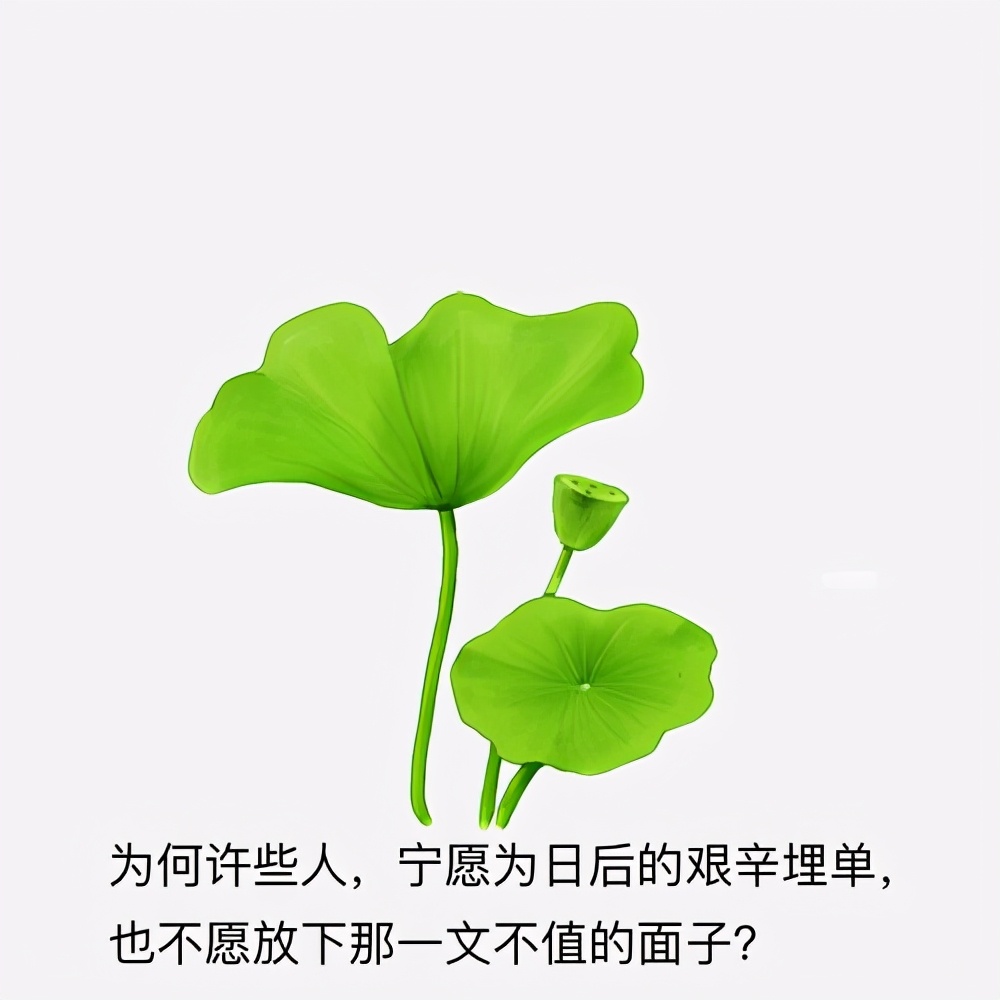 心中的神明,心中的神明作文