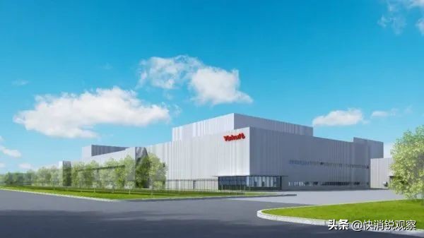 躺赢时代结束，日系吸金王“养乐多”谋变