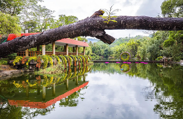 深圳美人鱼拍摄地要门票吗,美人鱼拍摄地点在深圳哪里