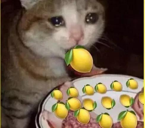 别羡慕优衣库了，所有汽车品牌都欠五菱宏光一个联名款