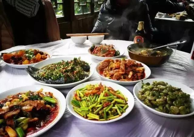 成都哪些值得去的农家乐,春季成都十大必去农家乐