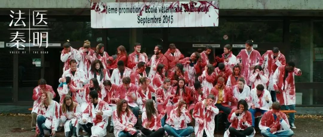 2019年影响力最高的十篇更新,最让你感到震撼的是哪一篇?