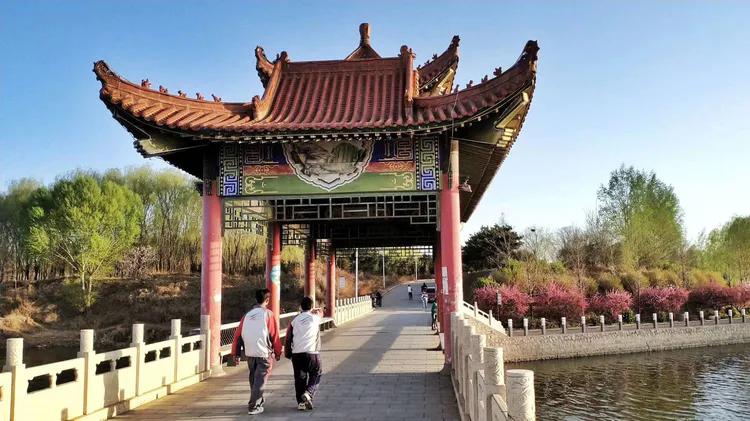 咏柳智永千字文,咏柳书法千字文