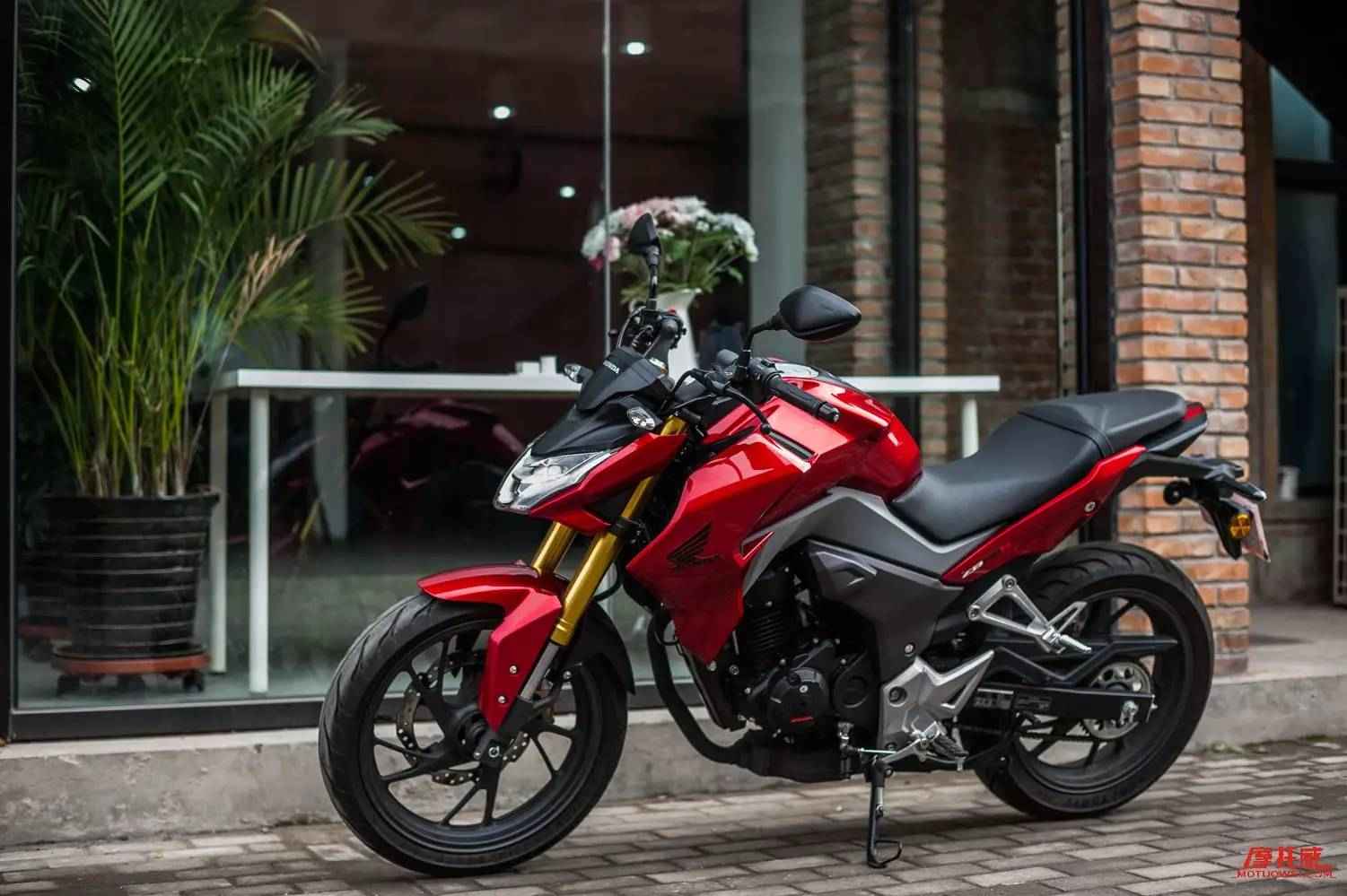 骑行选车,新手小白入门骑行选什么车