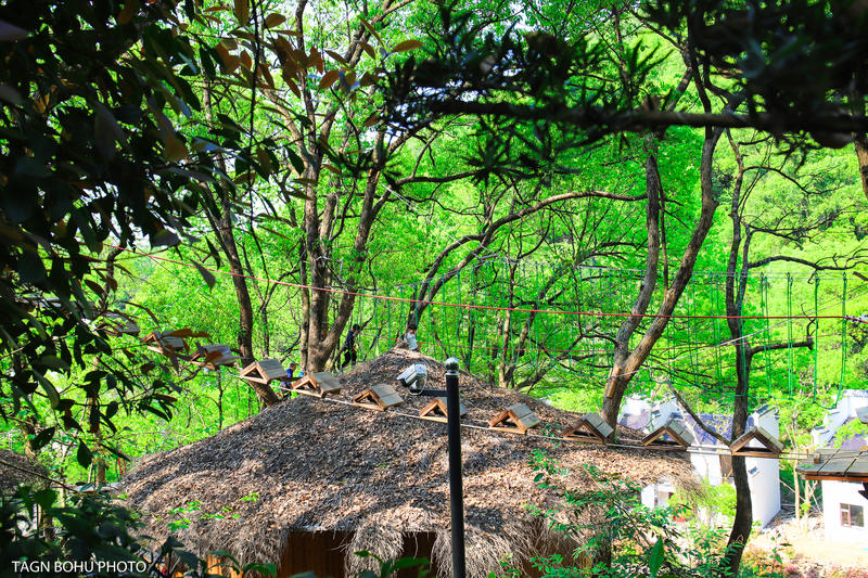 衢州常山春日旅游攻略,常山小众景点