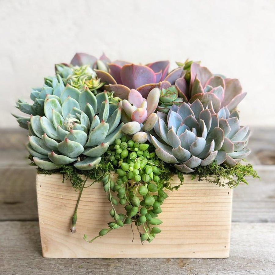 家居收纳日本主妇收纳秘笈大公开,日本主妇如何收纳冰箱蔬菜