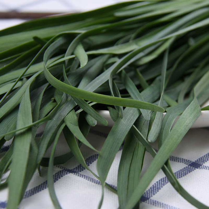 日本顶级韭菜品种,日本最好的韭菜品牌