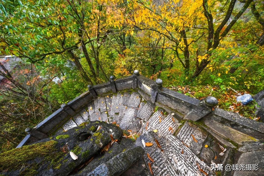 留坝秦岭之夜,留坝秦岭森林公园