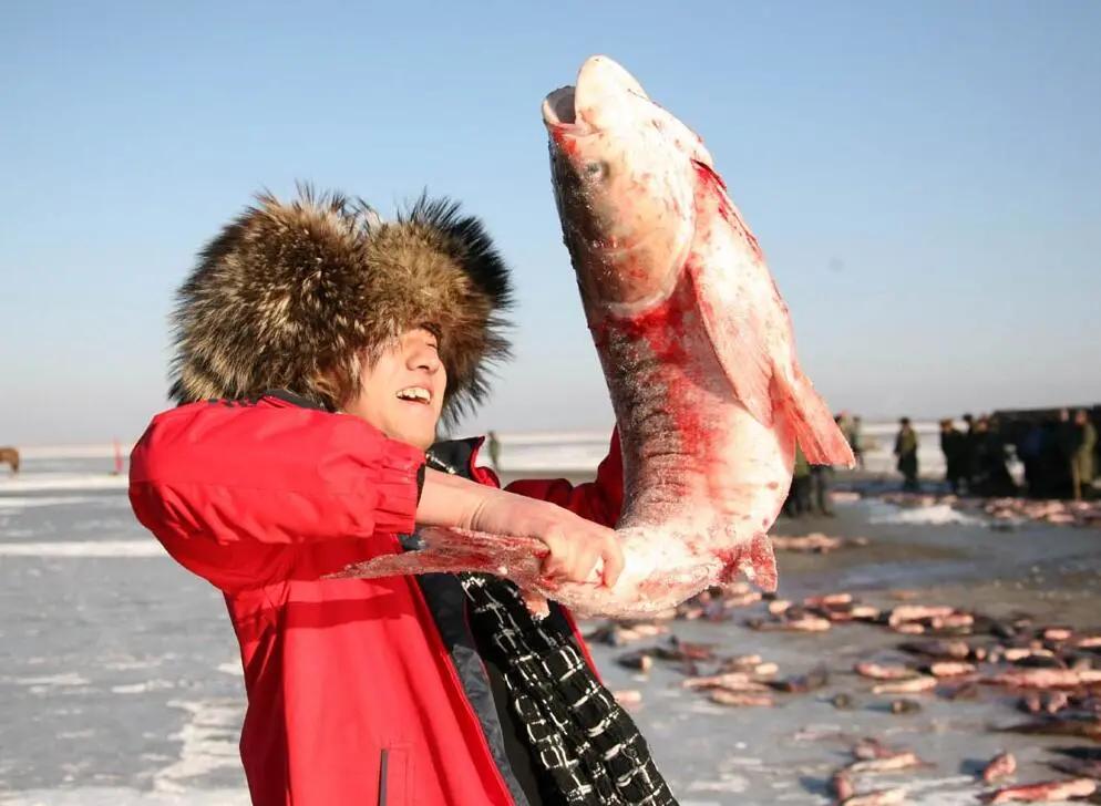 京哈高铁来了！3小时54分长春至北京！