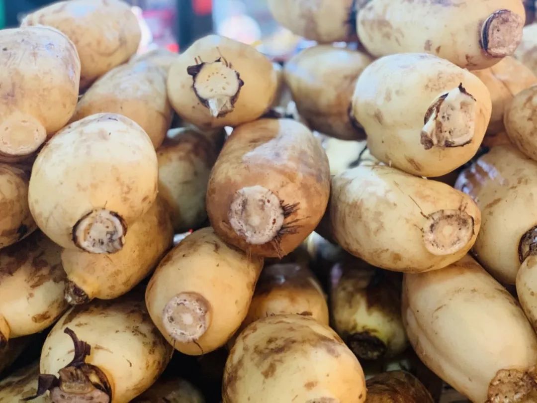 静远路便民服务中心在哪里,锦江区静远路便民服务中心