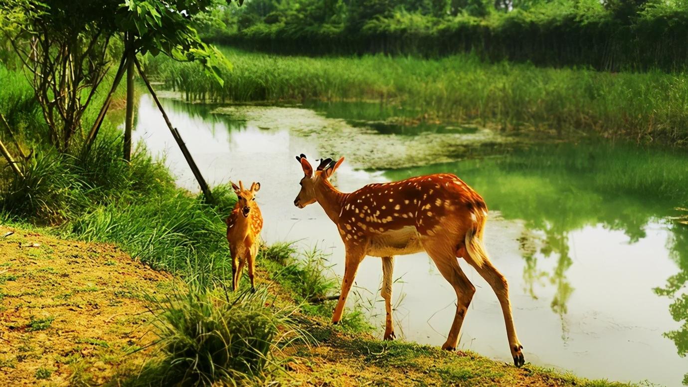 浅谈全国34个省级区域之华东篇：江苏省—宿迁市