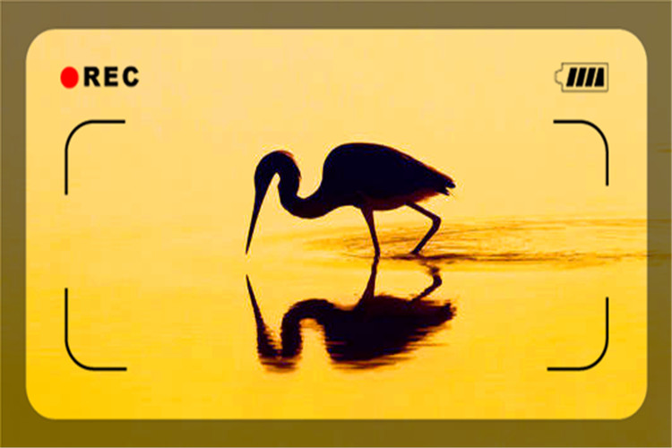 40岁选择稳定工作还是创业,40到50岁找工作还是自己创业