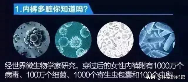 *裤内**湿湿黄黄有异味？很多女生已中招，这次终于有办法了