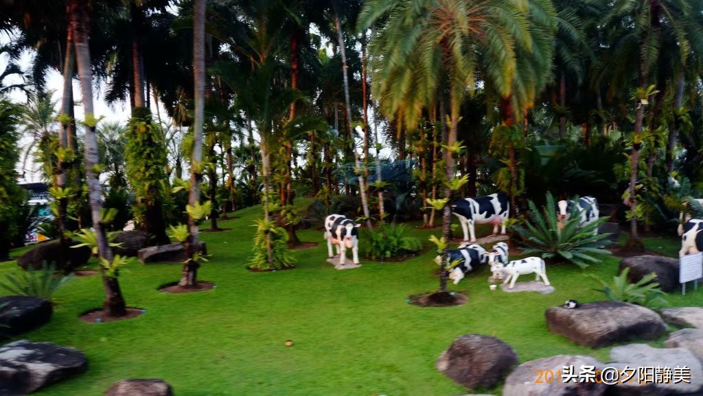 泰国芭提雅东芭乐园视频,芭提雅东芭乐园游玩攻略