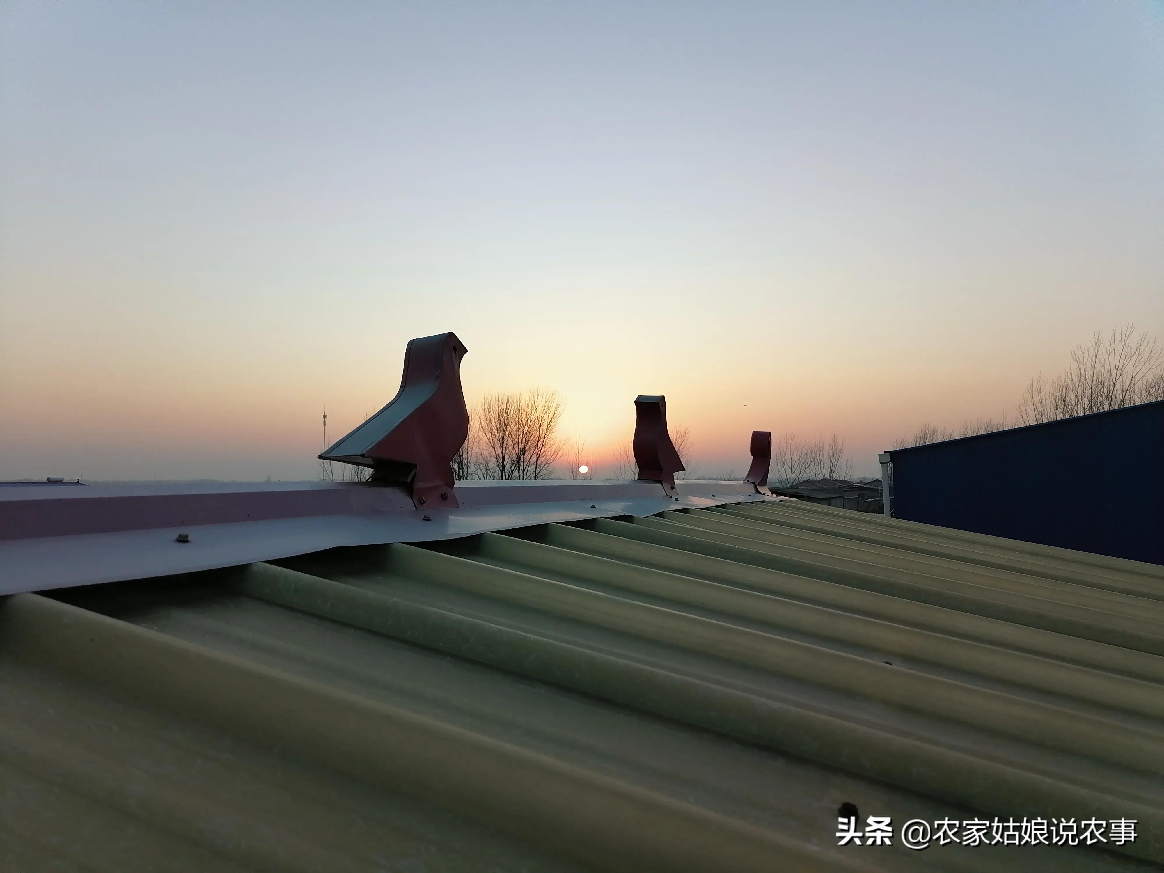 女子嫁给酒鬼丈夫,农村女人嫁给城里人怎么样