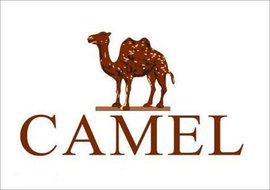 日韩的知名鞋业品牌,国际鞋业品牌排行前十名