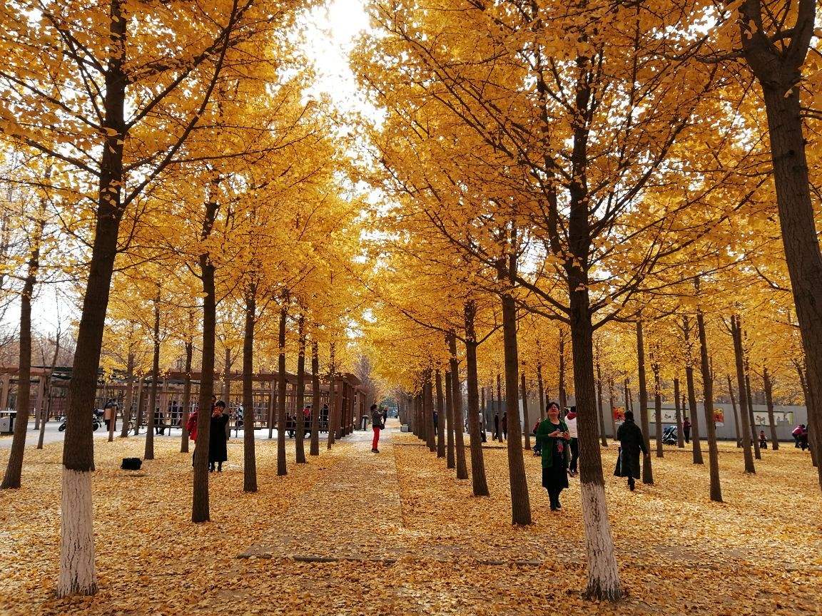 北京小众宝藏旅行地拍照,北京宝藏小众景点