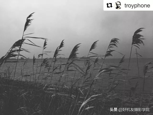 为什么拍胶片有质感,用什么拍出胶片感