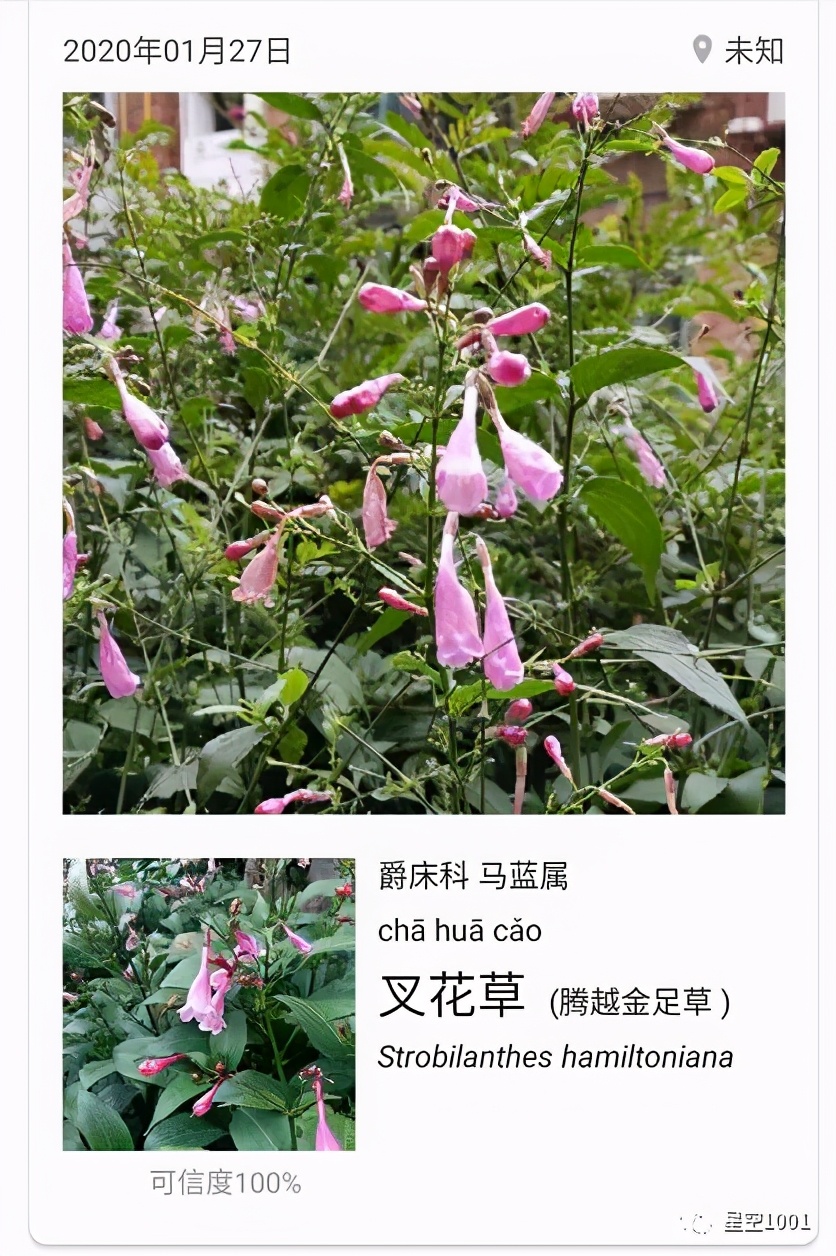 春节假期记,记录2022春节假期