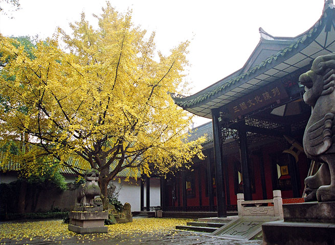 锦里和锦里古街有什么区别,锦里古街在哪里呢